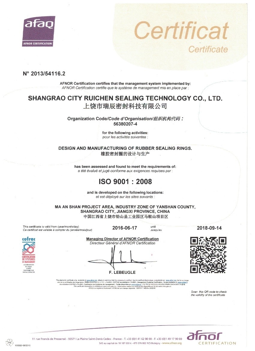 Trung Quốc Dongguan Ruichen Sealing Co., Ltd. Chứng chỉ